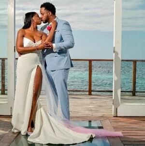 New Ombre Wedding Veil Fushia Puple Pink Bride Bridal